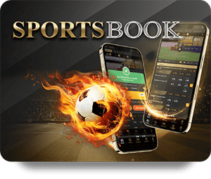 Dafabet Dự Đoán Chuẩn Giúp Bạn Thắng Nhiều Hơn